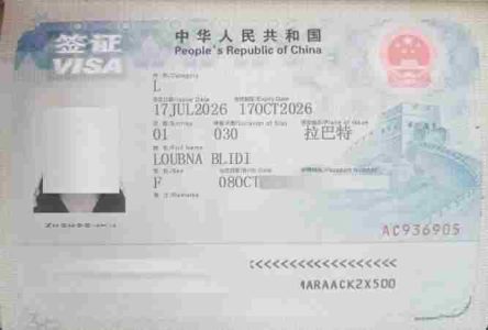VISA CHINE